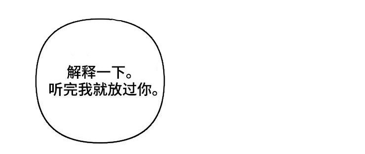 第48章：解释一下