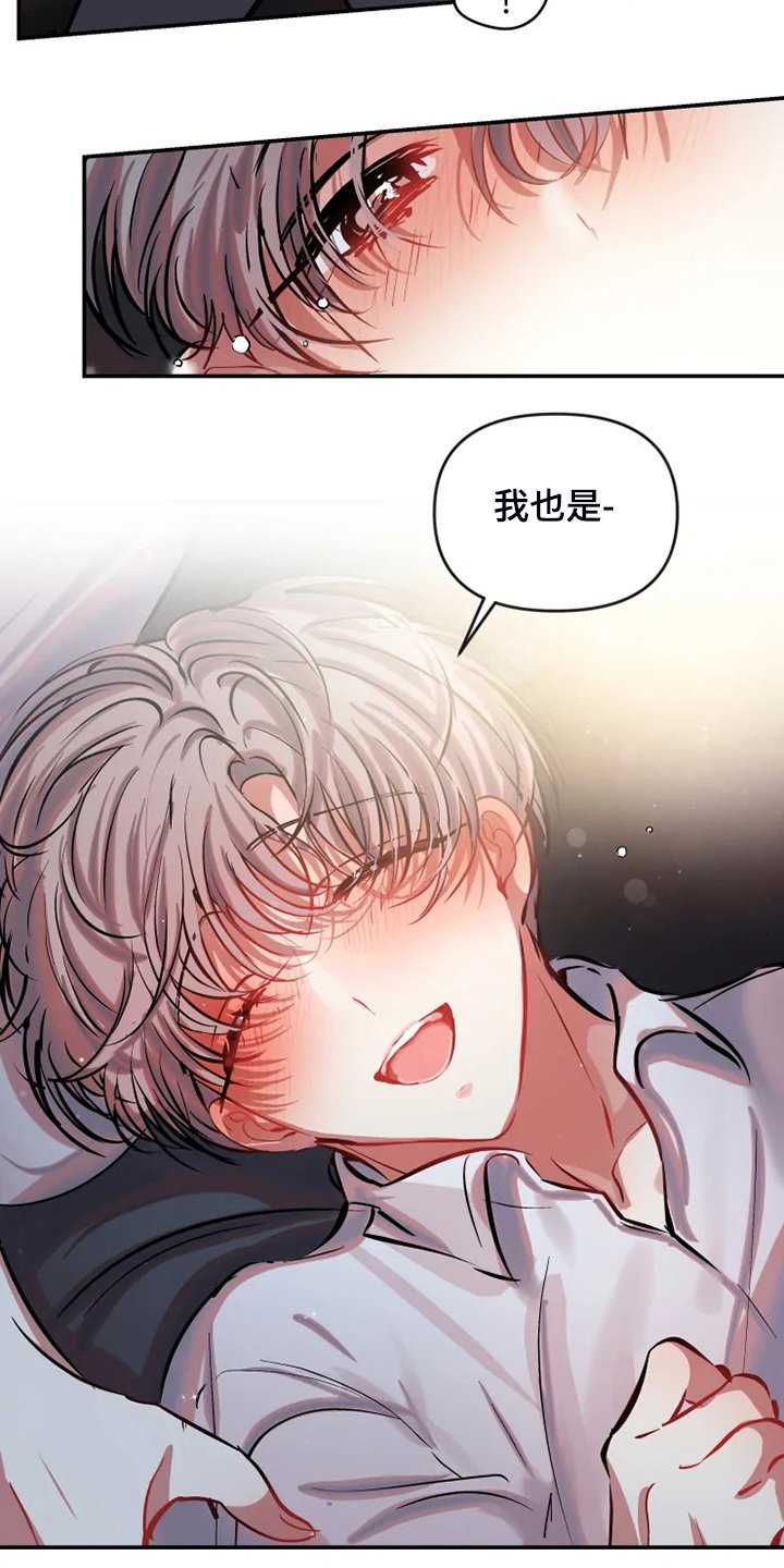 第73章：【完结】最后一次直播