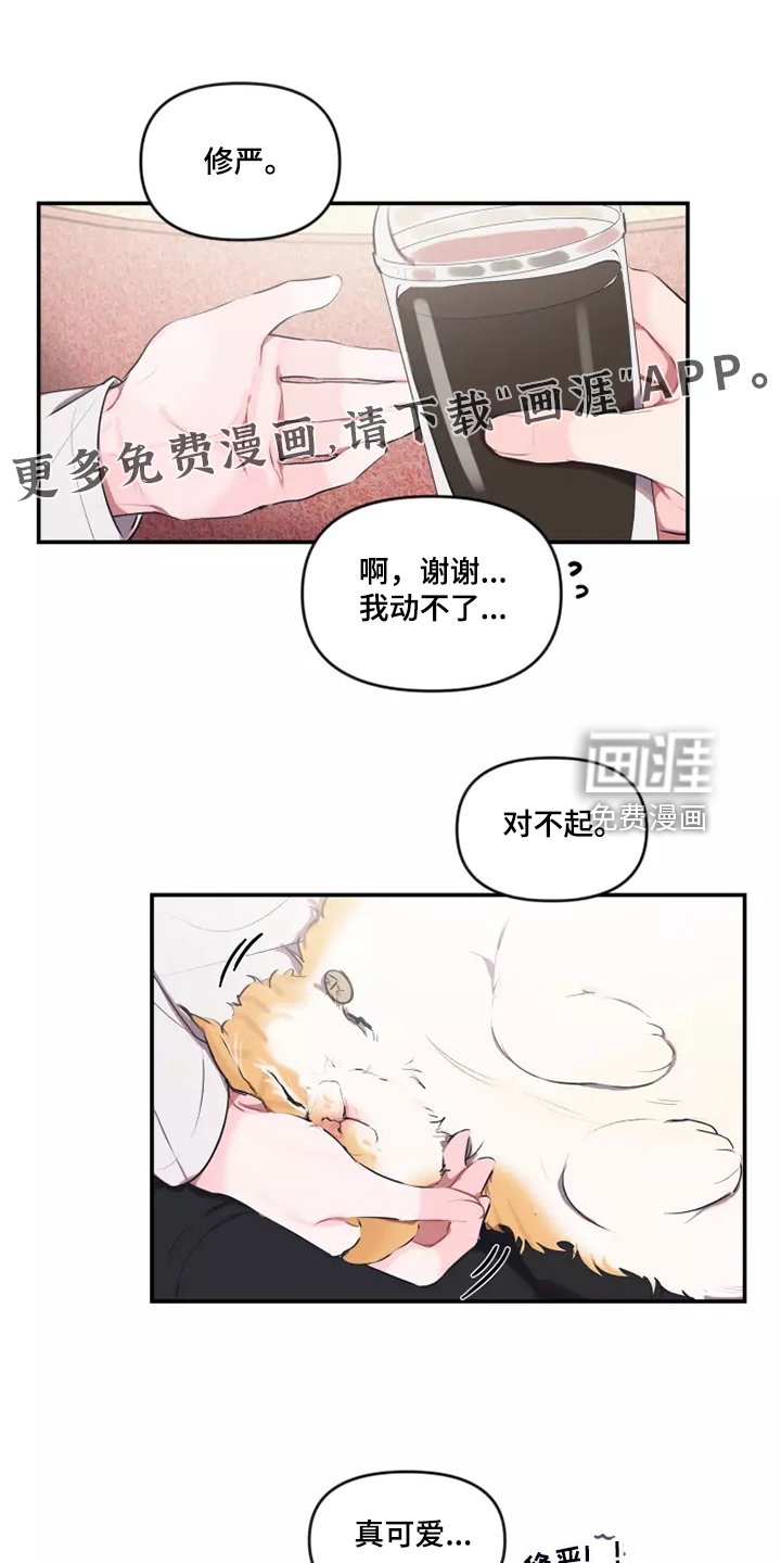 第83章：【番外】过敏