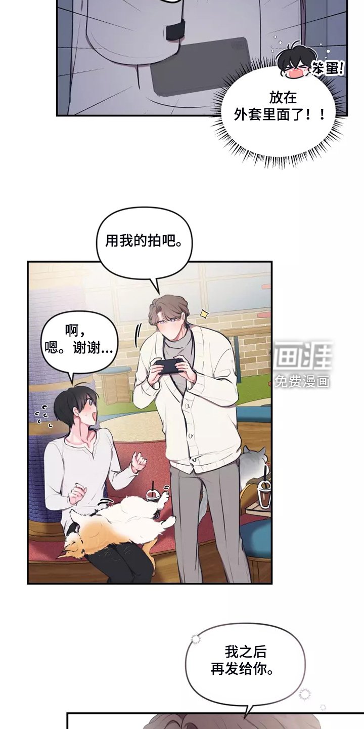 第83章：【番外】过敏