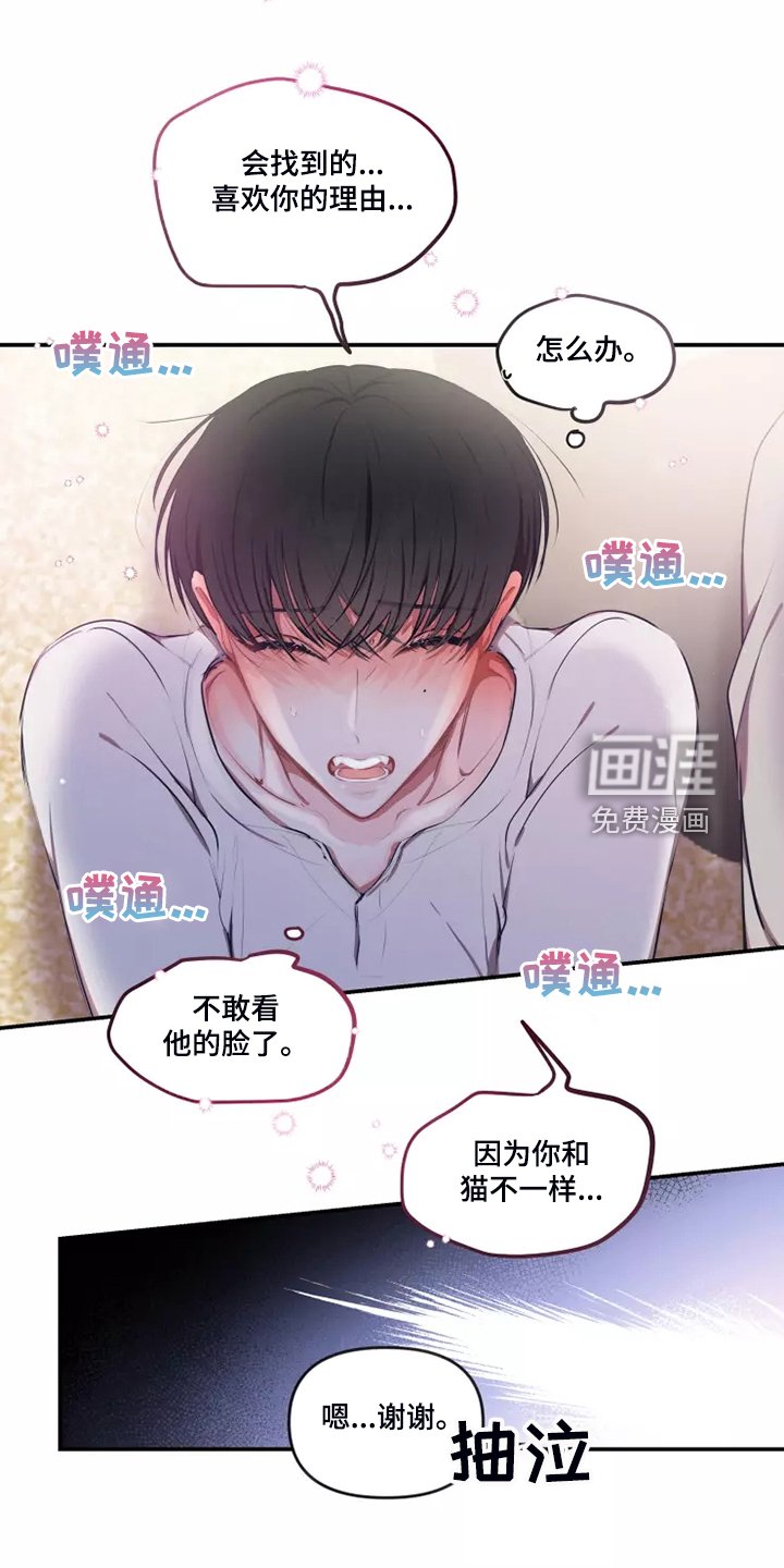 第83章：【番外】过敏