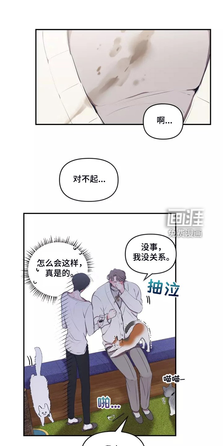 第83章：【番外】过敏