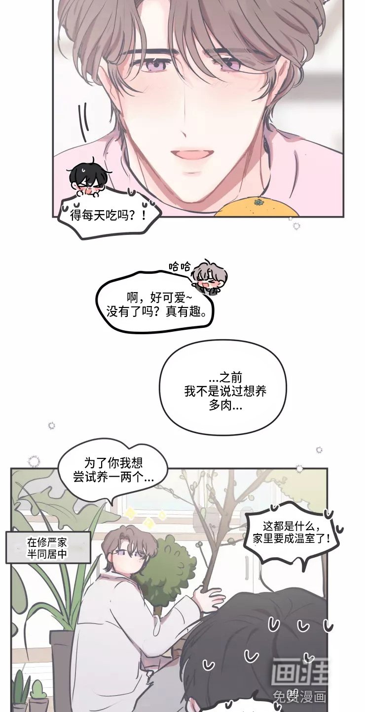 第91章：【番外】圣诞节