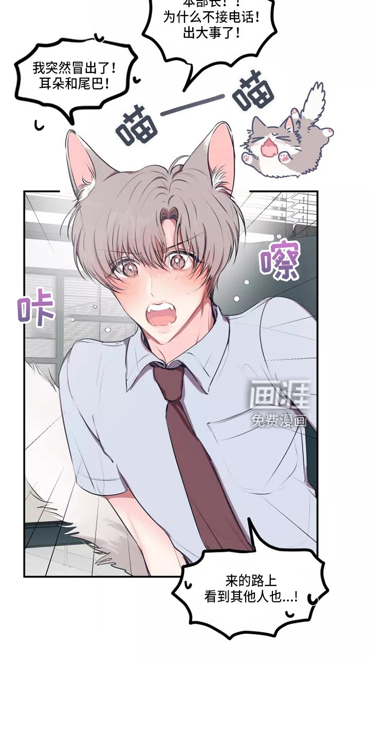 第92章：【番外】试试吧