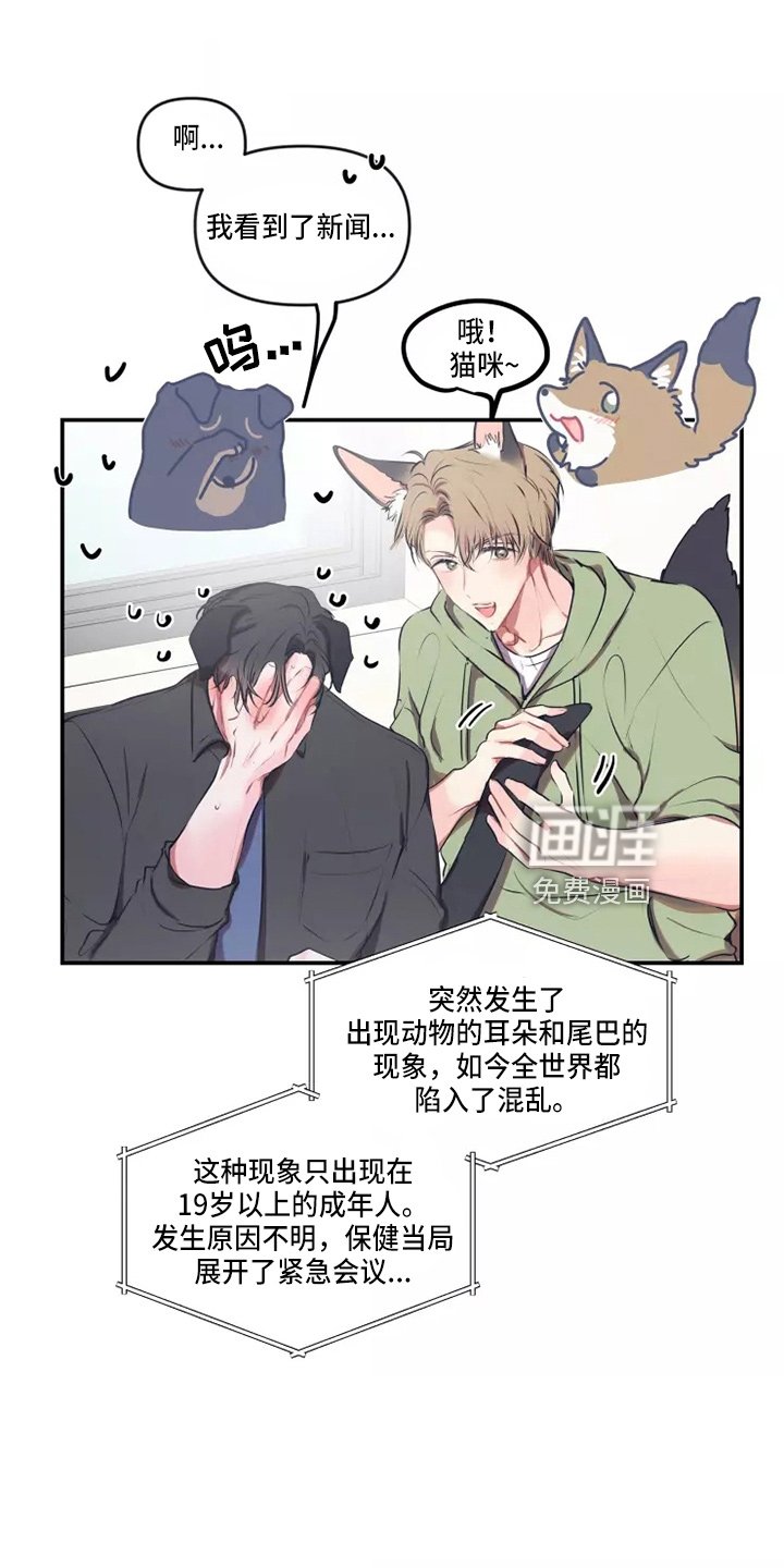 第92章：【番外】试试吧