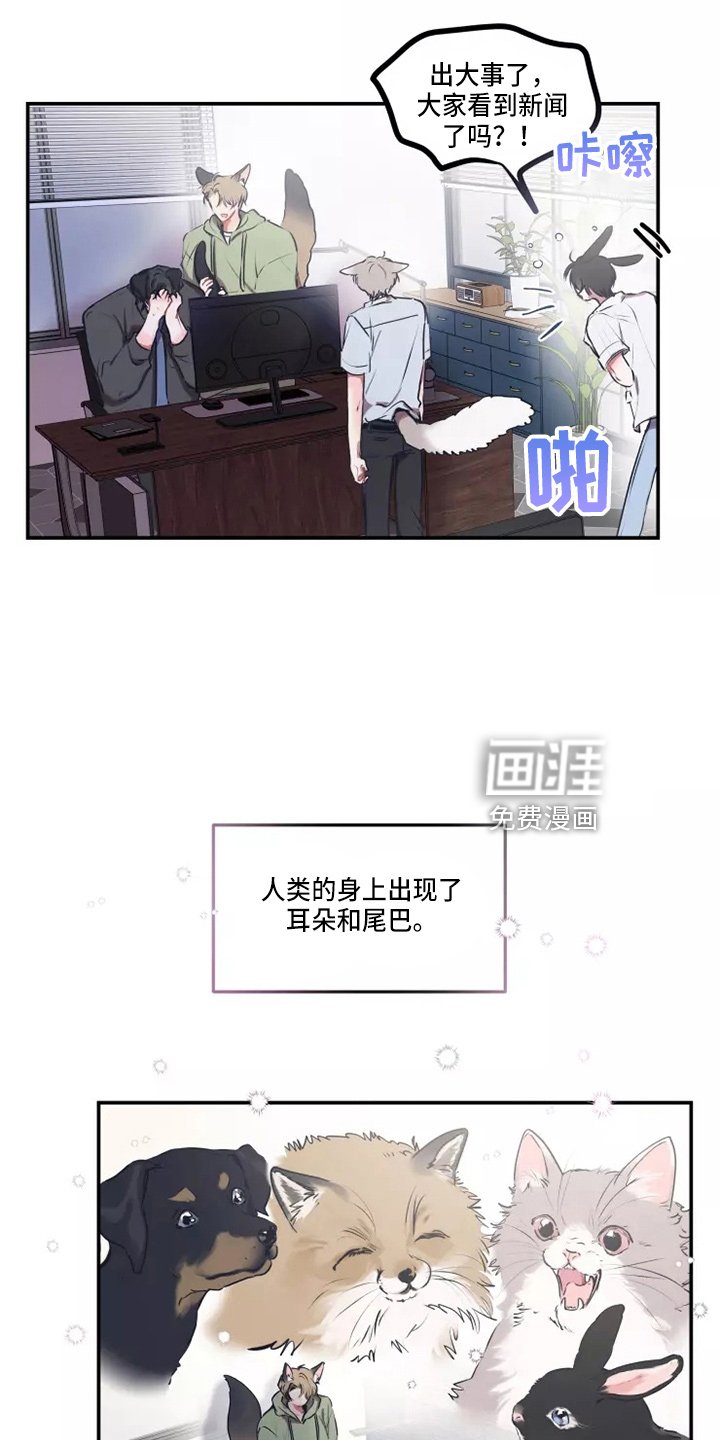 第92章：【番外】试试吧
