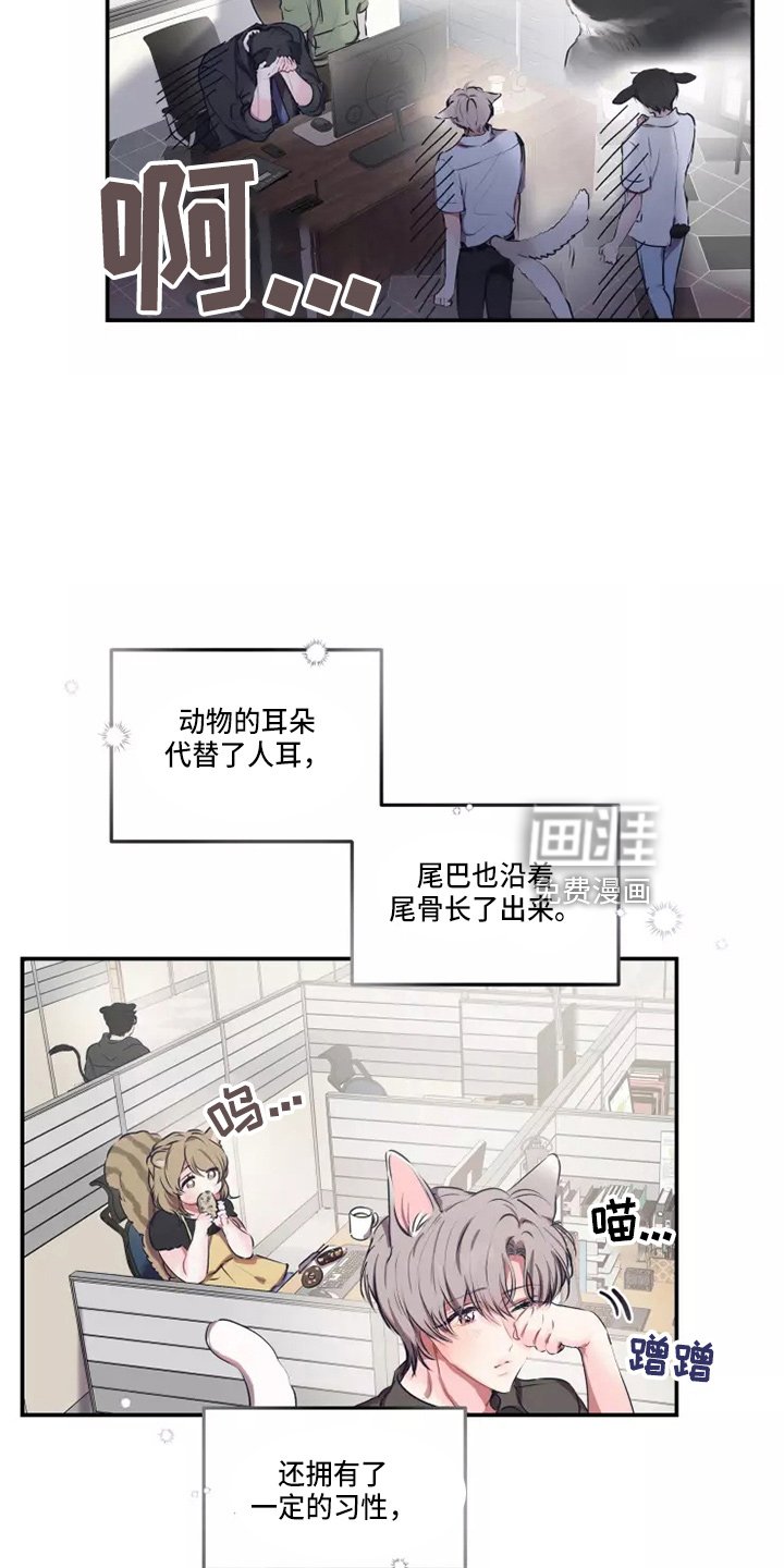 第92章：【番外】试试吧