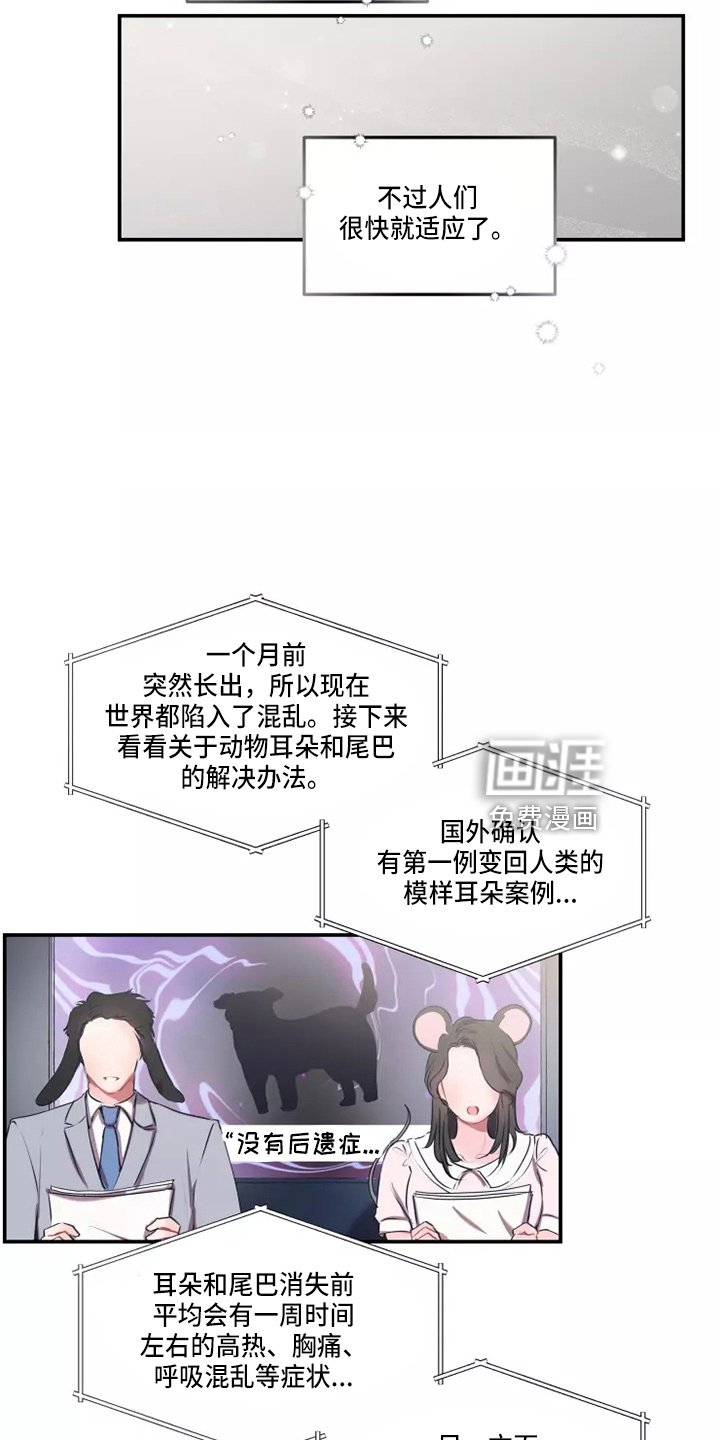 第92章：【番外】试试吧