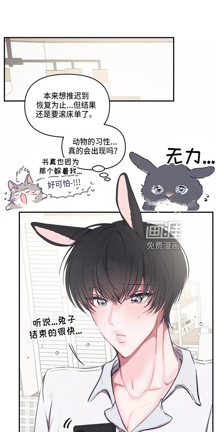 第92章：【番外】试试吧