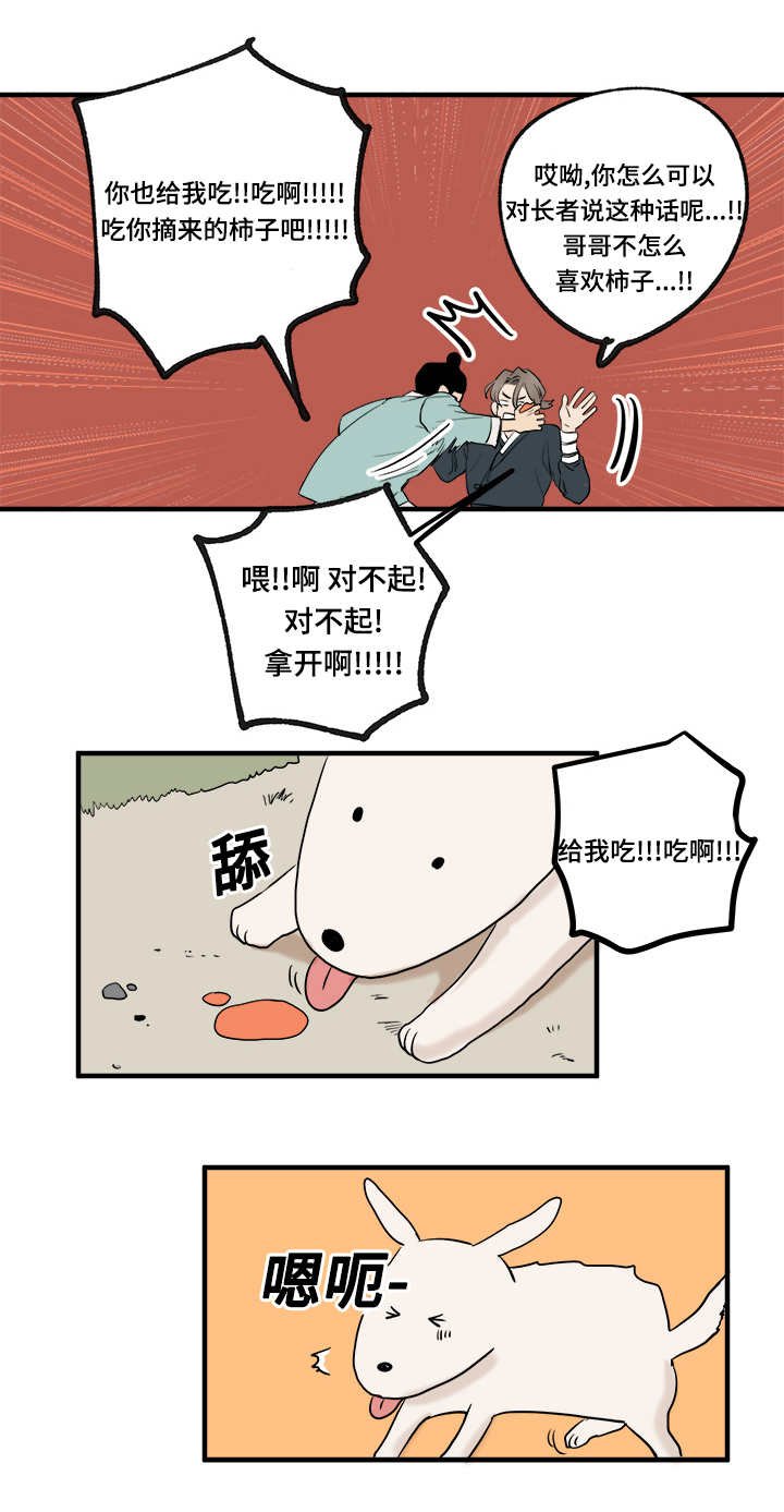 第11章：摘柿子