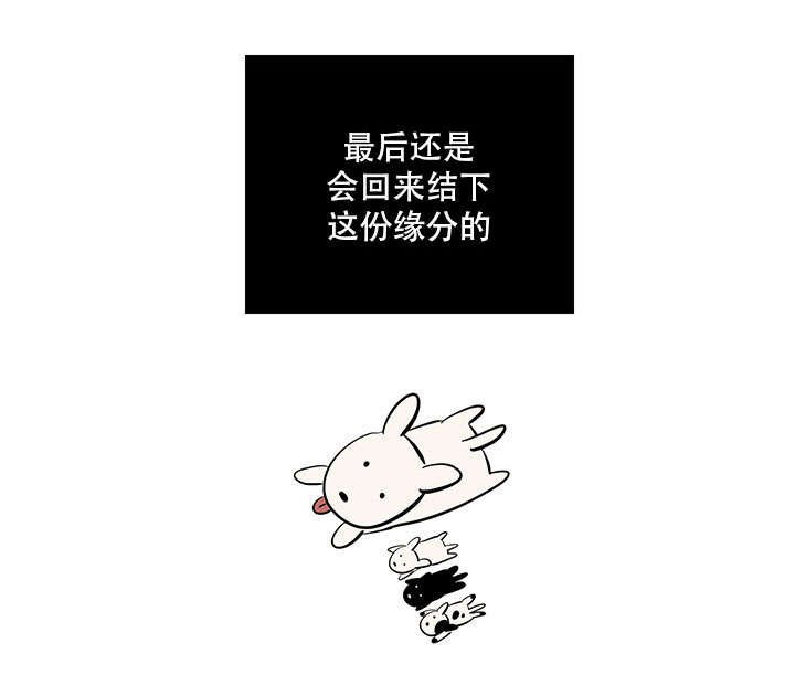 第42章：一年的重逢（完结撒花）