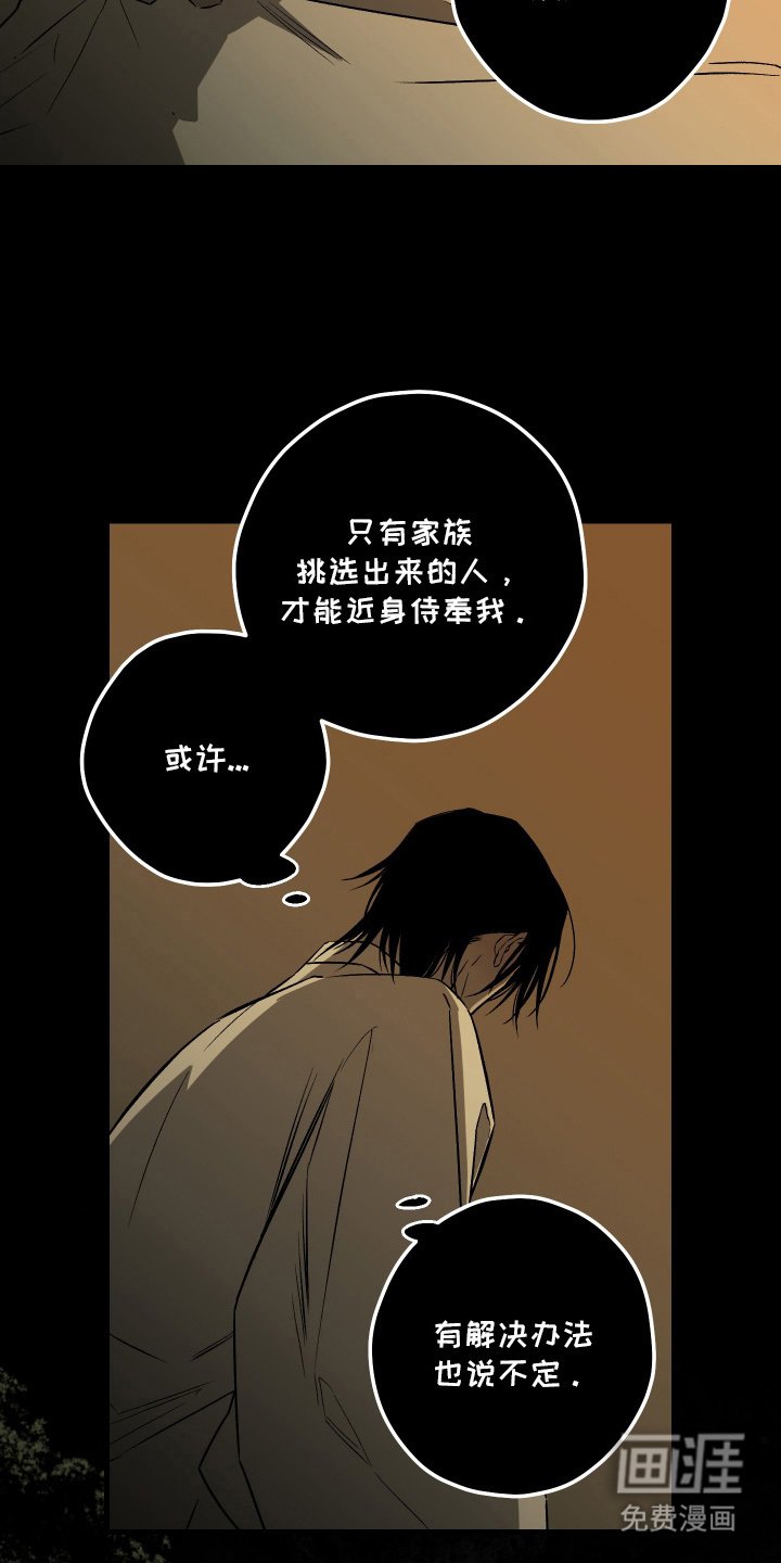 第4章：无法得知