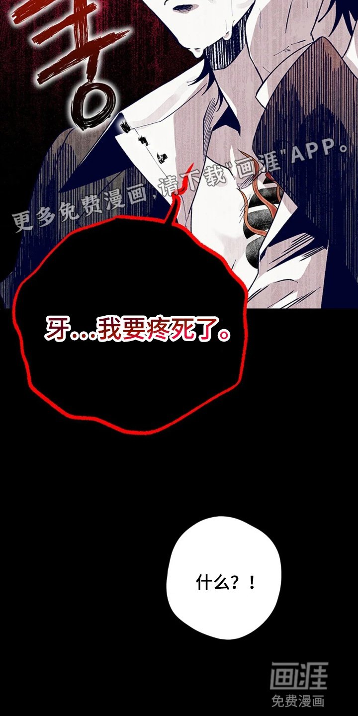 第1章：牙疼真要命