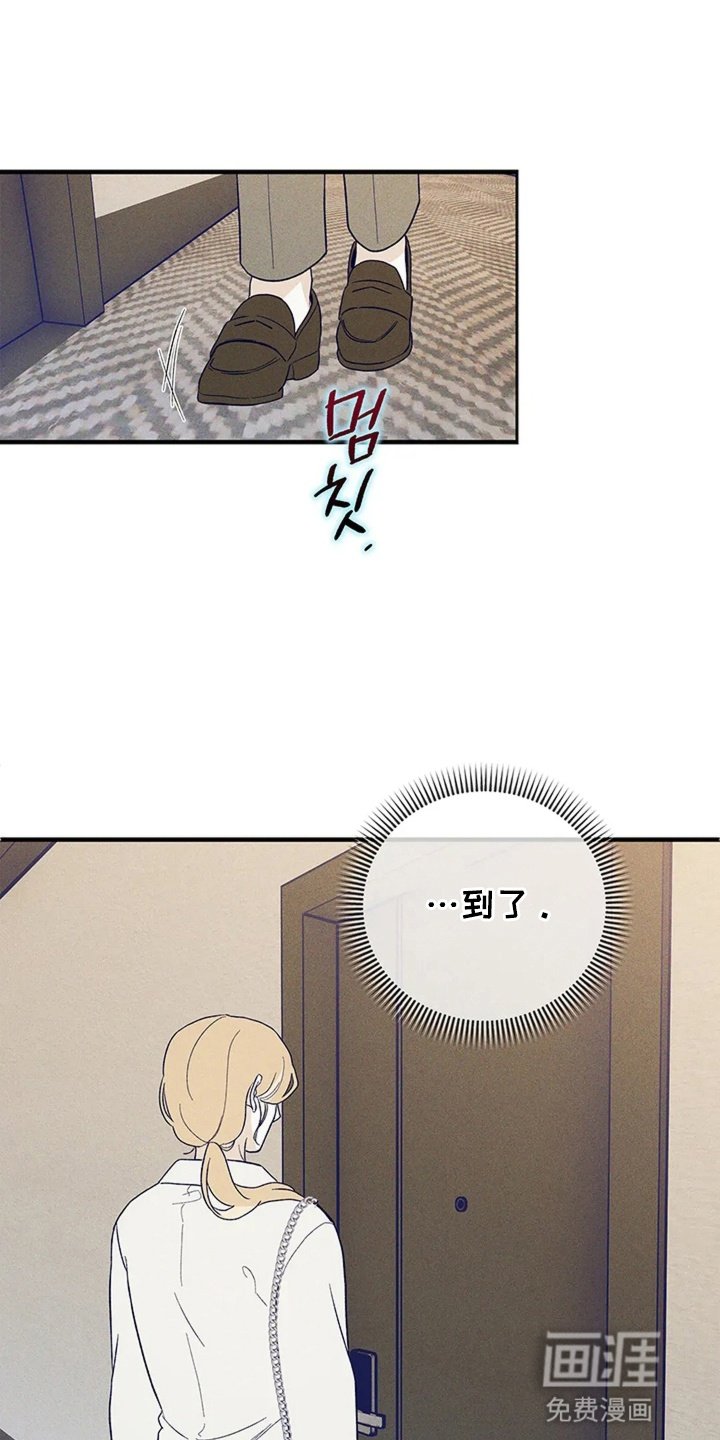 第11章：失联