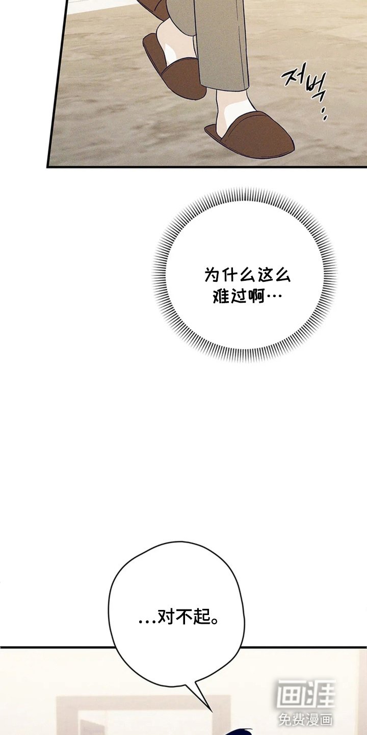 第12章：是他们的错