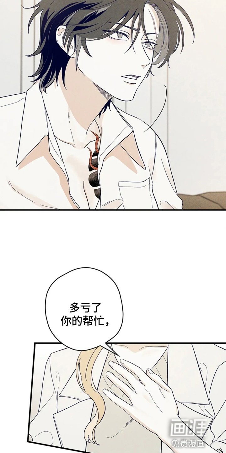 第13章：告白