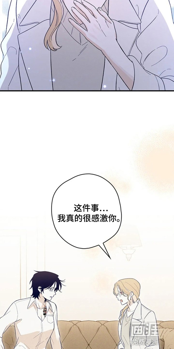 第13章：告白