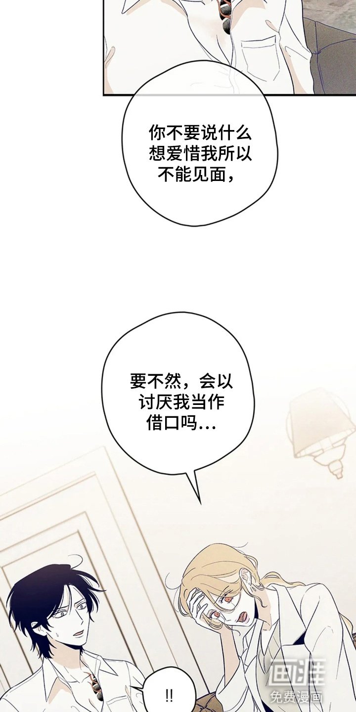 第13章：告白