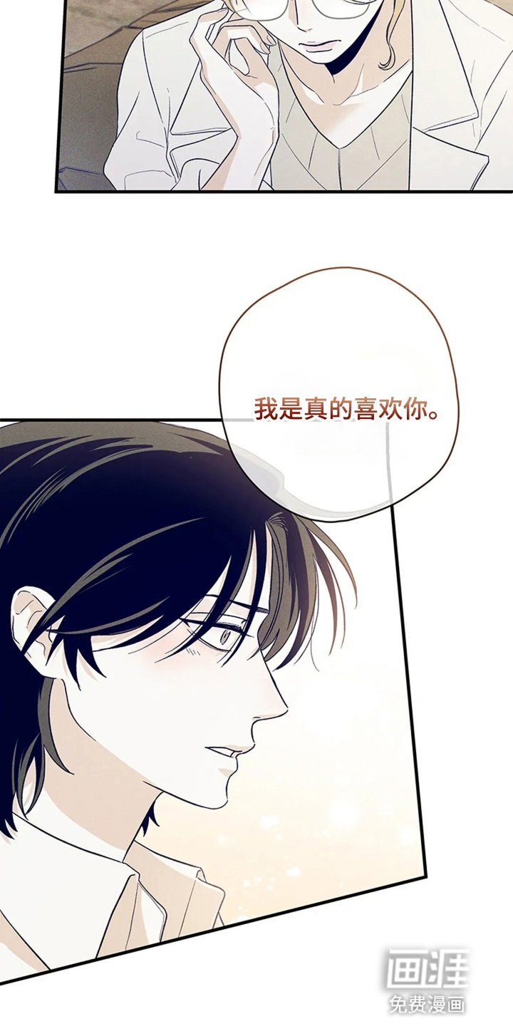第13章：告白