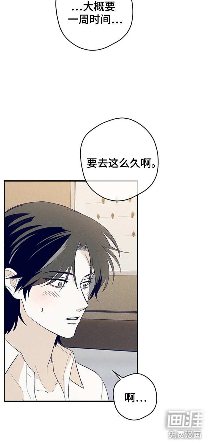 第15章：胡思乱想