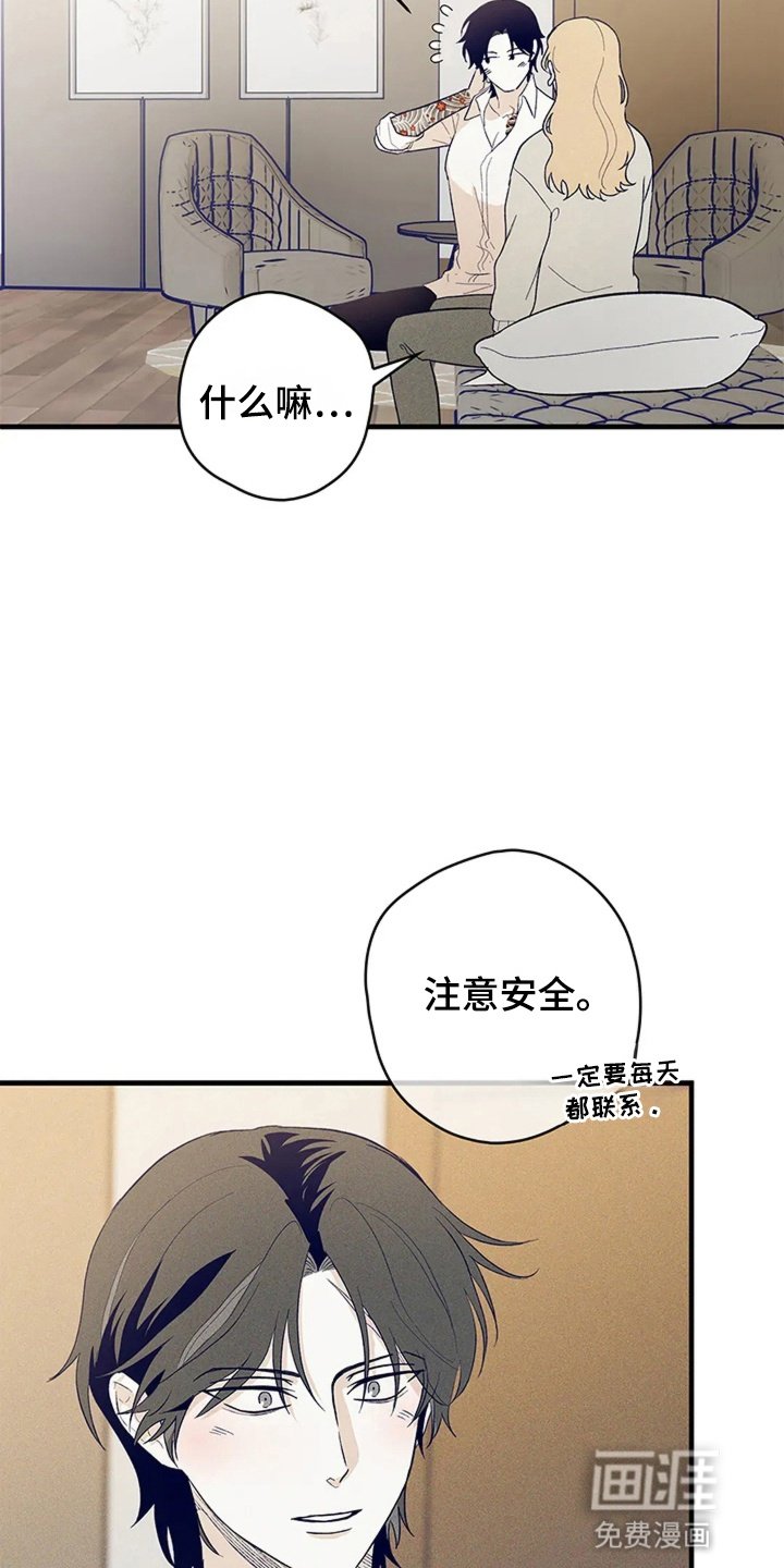 第15章：胡思乱想