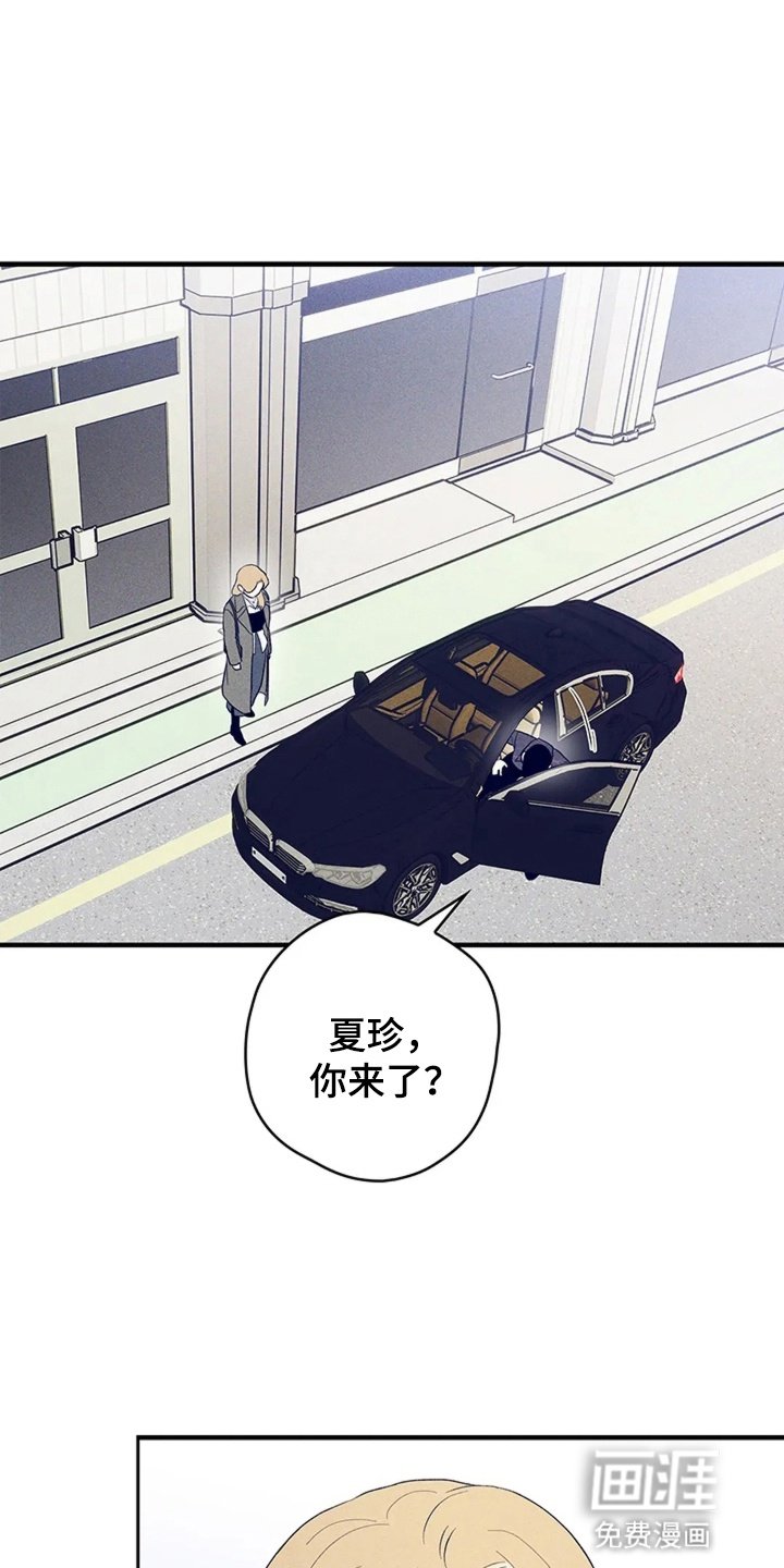 第17章：墨镜