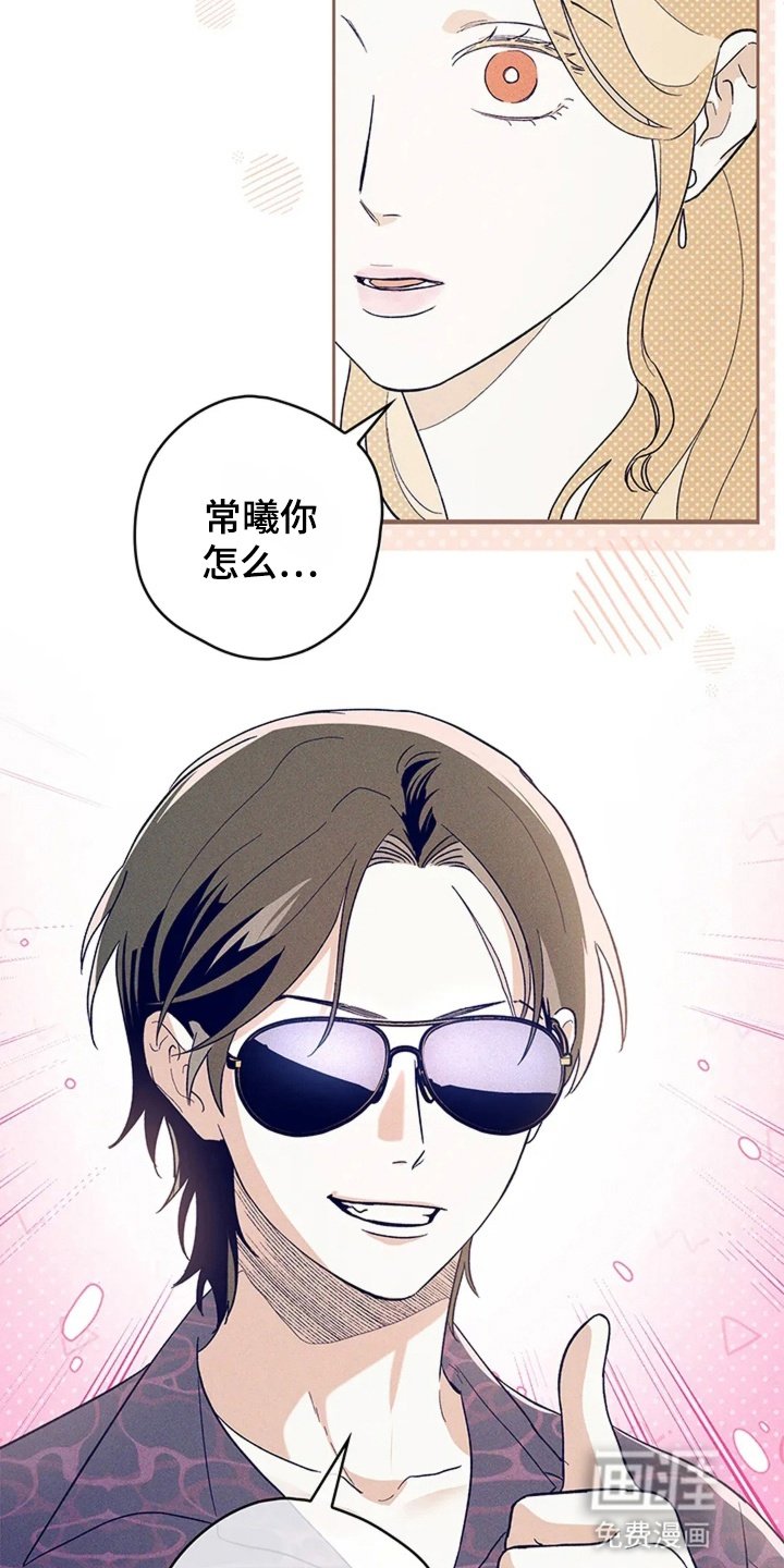 第17章：墨镜