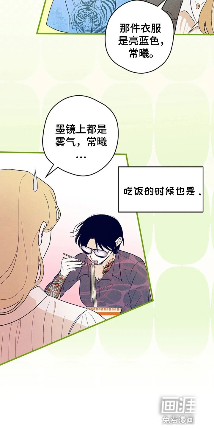 第17章：墨镜