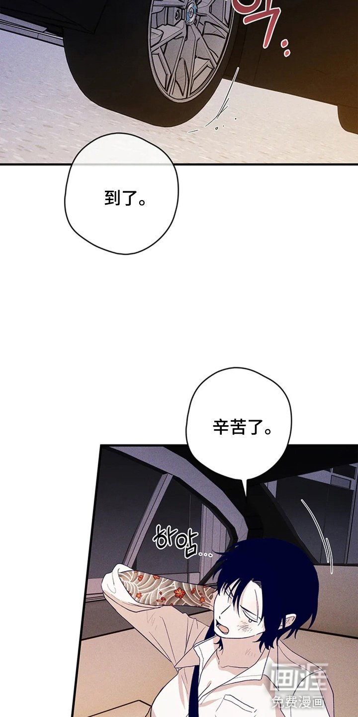 第19章：退让