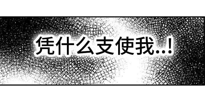 第41章：为什么这样子