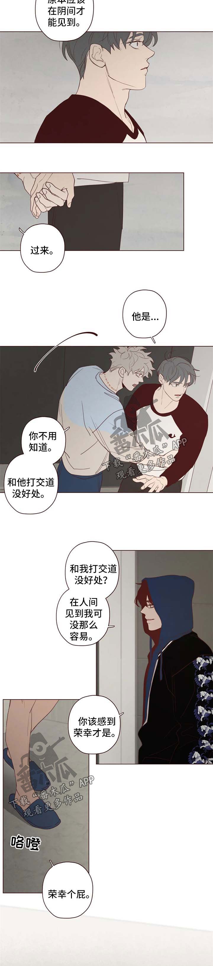 第104章：计划