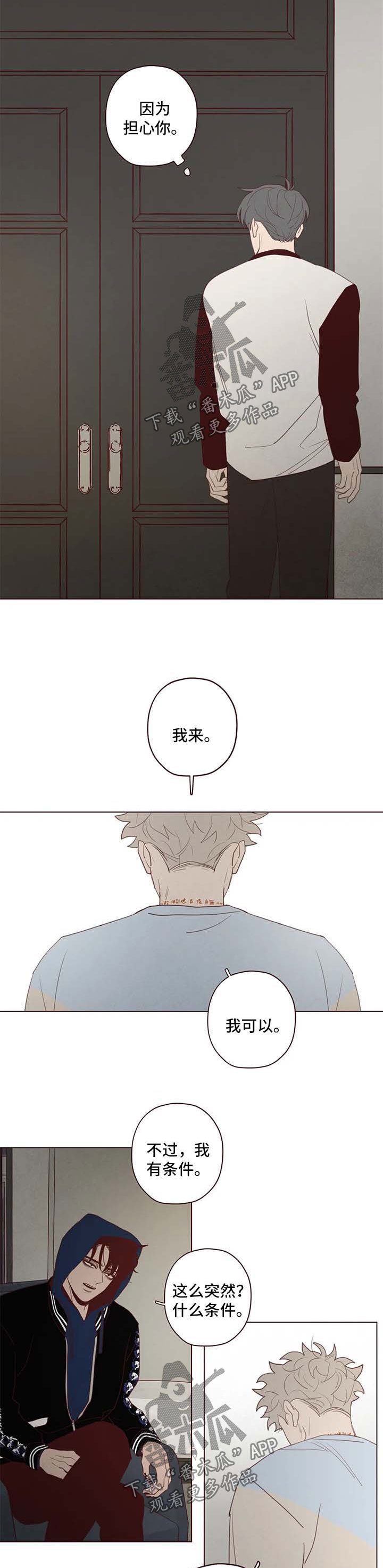 第105章：赌一把