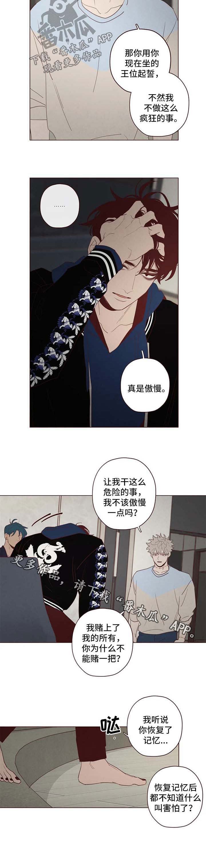 第105章：赌一把
