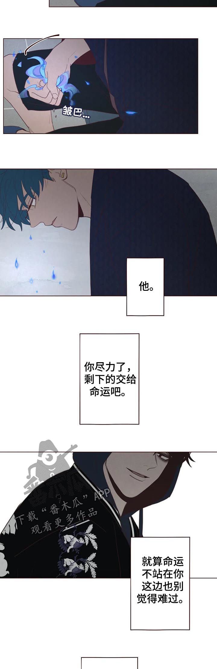 第108章： 命运