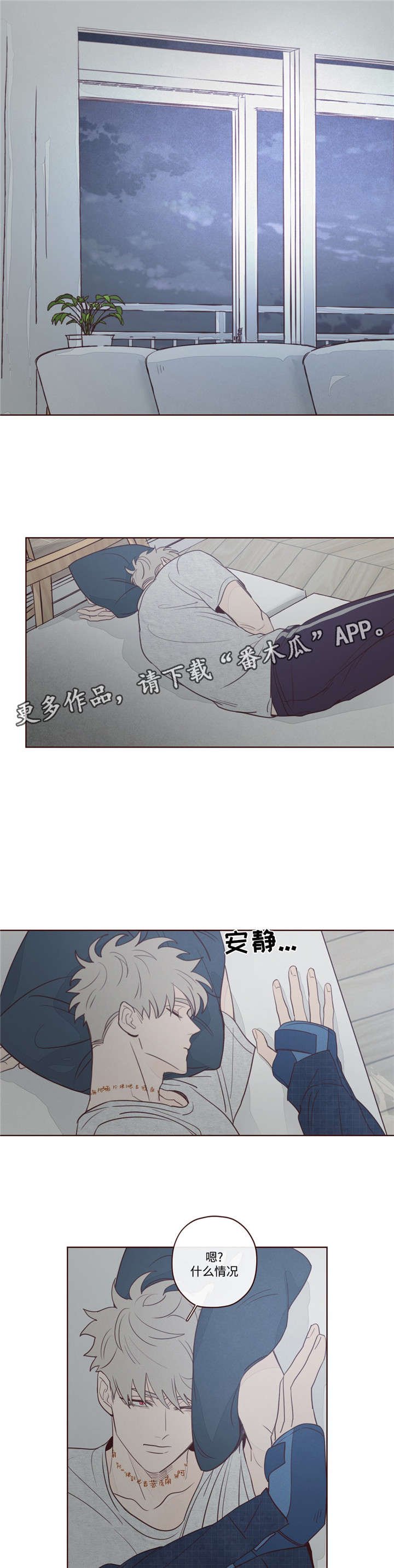 第11章：做饭