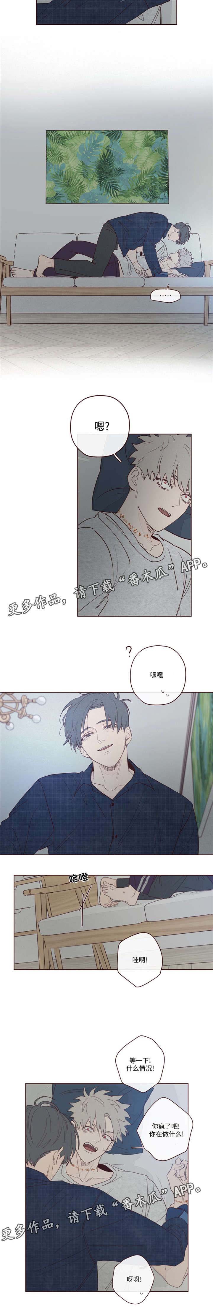第11章：做饭