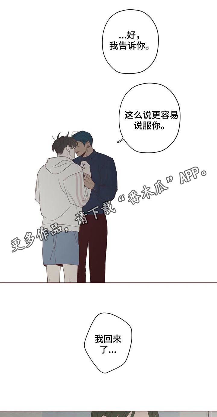 第113章：计划