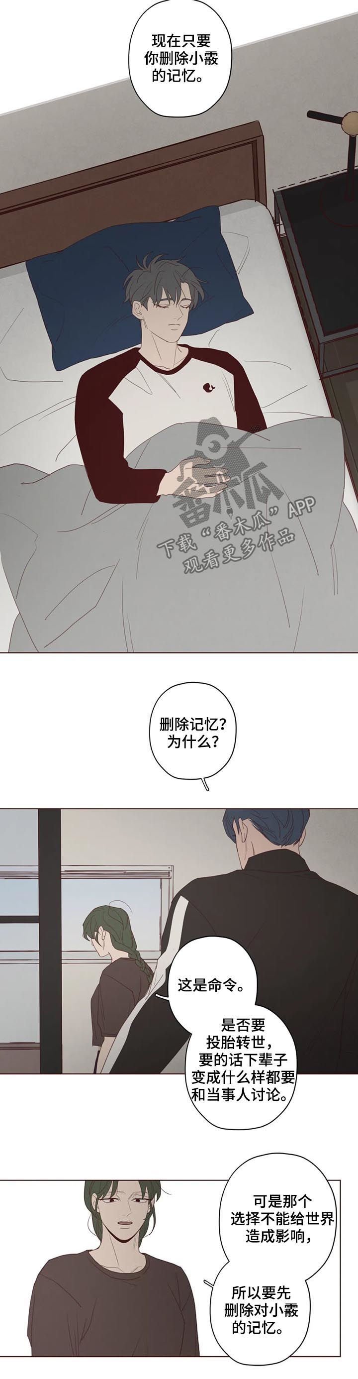 第113章：计划
