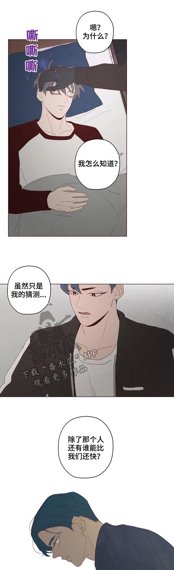 第113章：计划
