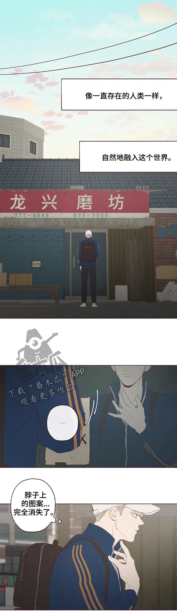 第116章：可怜人