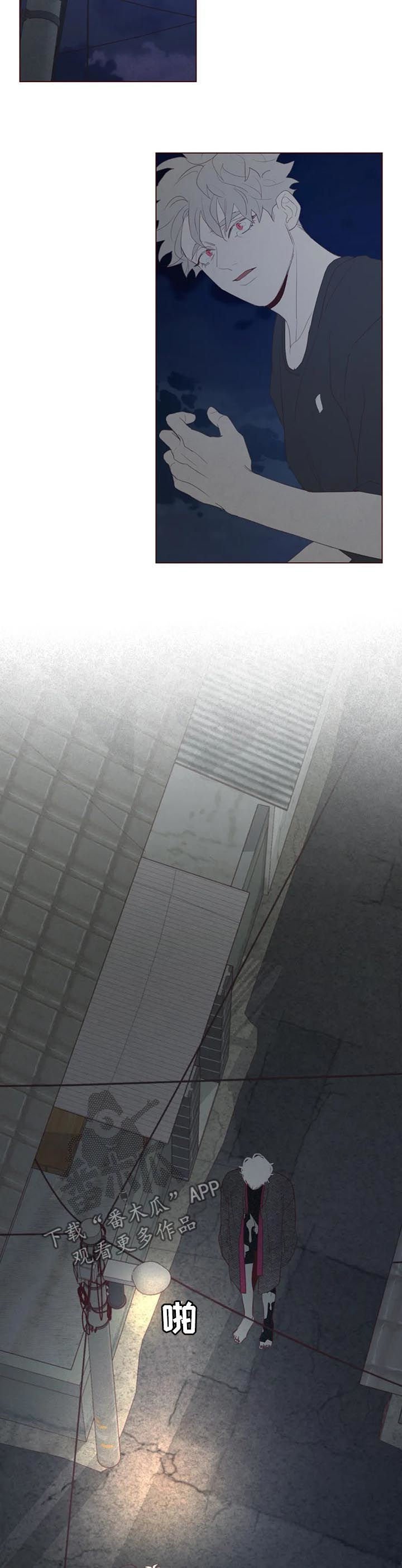 第117章：不详之人