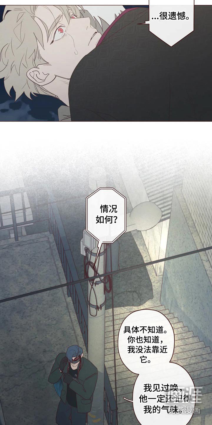 第118章：事情得到解决