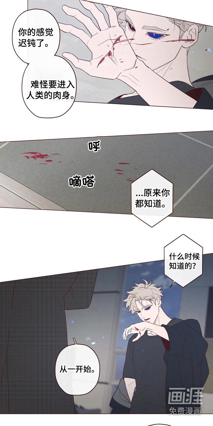 第119章：识破