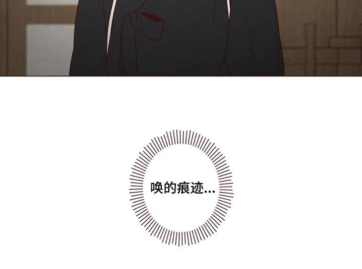 第138章：保护