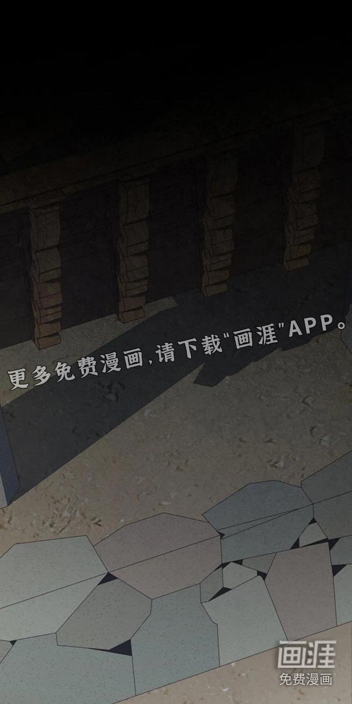 第167章：荷花