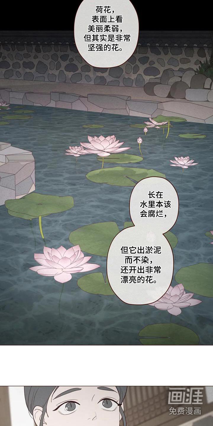 第167章：荷花