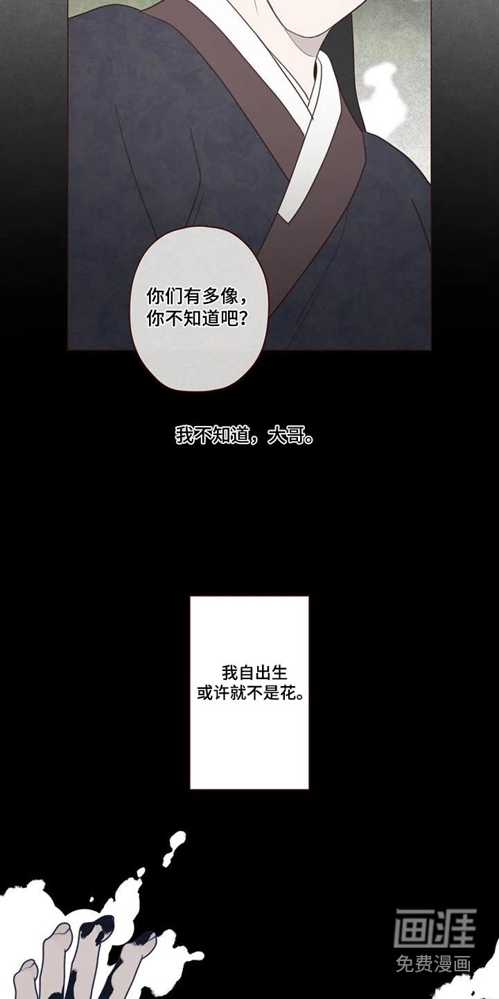 第167章：荷花
