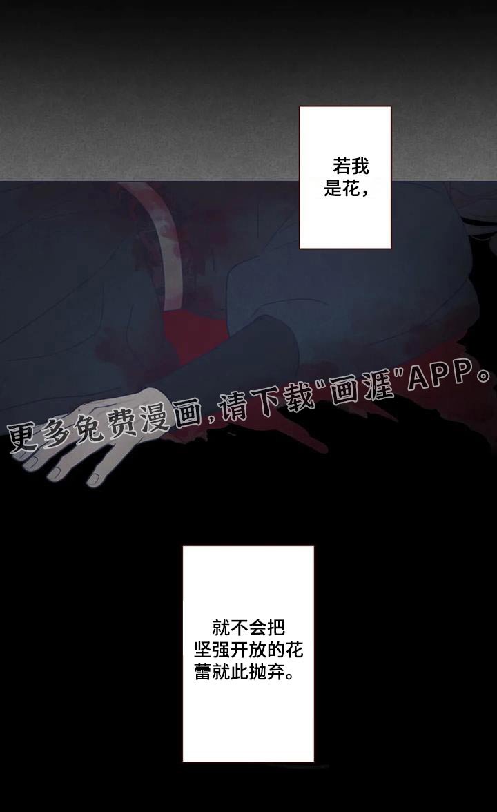 第167章：荷花