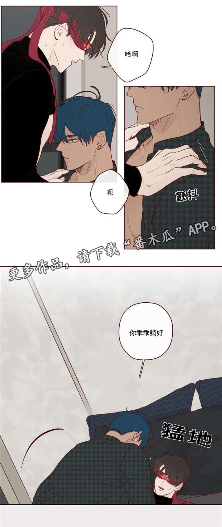 第17章：脸