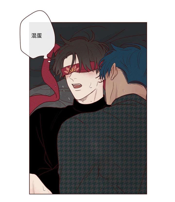 第17章：脸